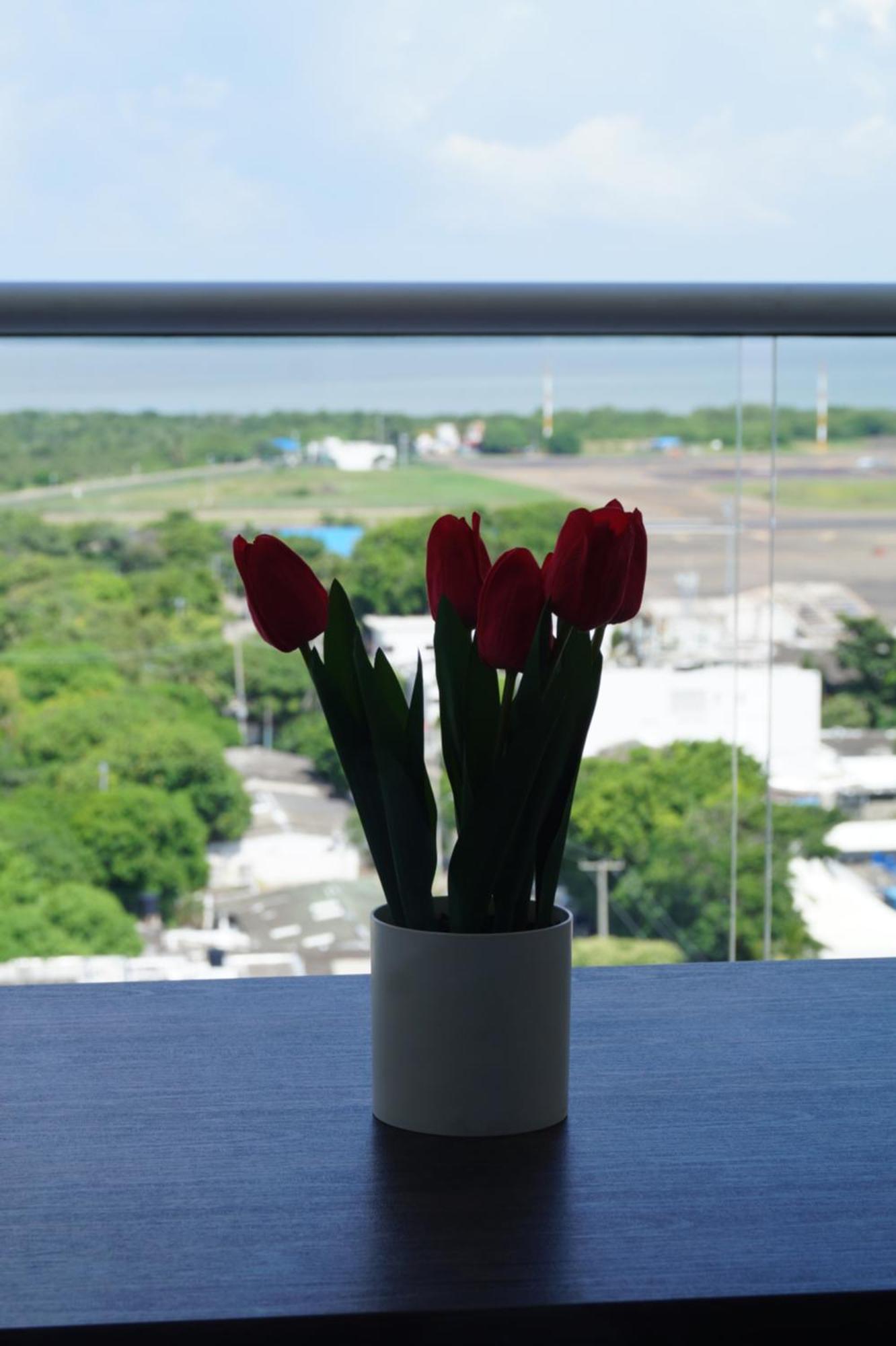 Aparta Crespo Aeropuerto Apartamento *